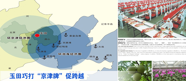 借力项目、智力、市场资源玉田巧打&ldquo;京津牌&rdquo;促跨越