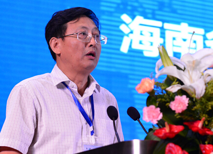 海南省人民政府副秘书长张震华:抓住新型城镇化发展机遇,携手共创美好未来