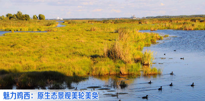 魅力鸡西：原生态景观美轮美奂