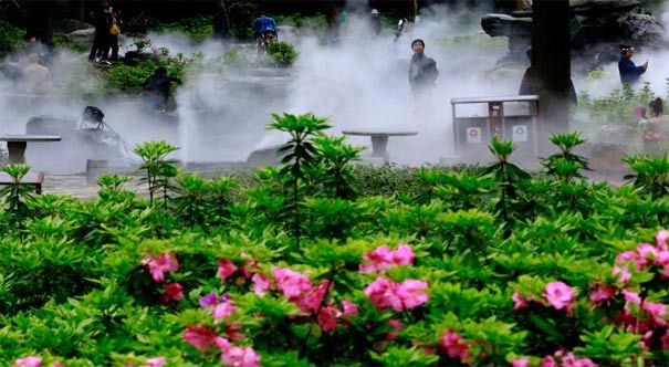 武汉东湖杜鹃花海迎客 “仙气”萦绕宛如幻境