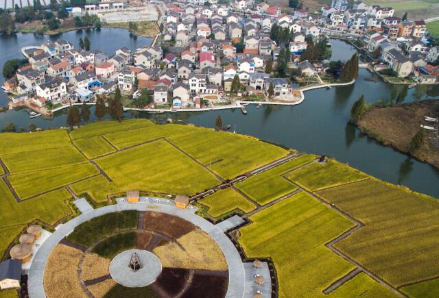 南京迎来丰收季节 田野乡村犹如美丽画卷