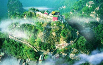 吴先锋：让绿成为美丽武当的主色调