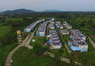 陵水常皮村61户村民坐享"阳光收入"