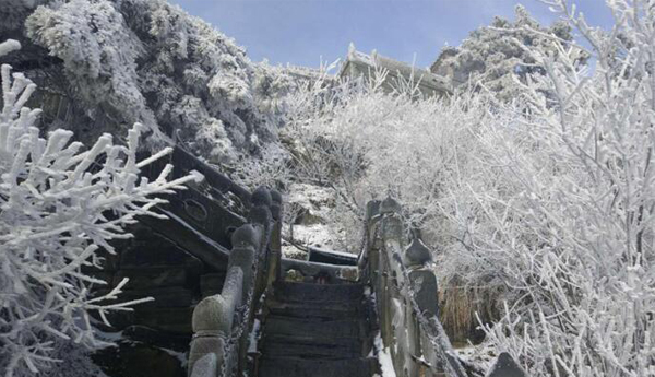 武当山景区现雾凇景观 树木披挂&ldquo;水晶装&rdquo;