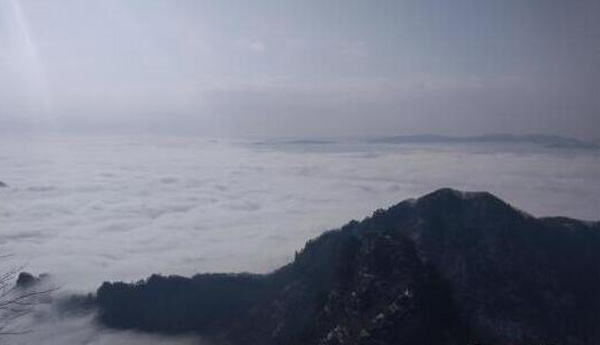武当山现云海景观 宛若仙境