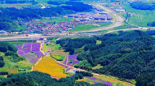 祖国处处是家乡