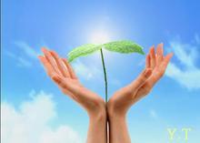 深圳观念改变我的命运