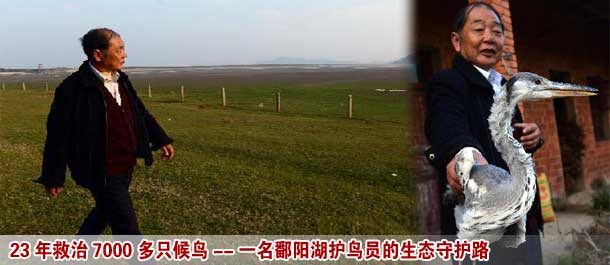 23年救治7000多只候鸟--鄱阳湖护鸟员的生态守护路