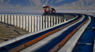 牧羊少年的故事