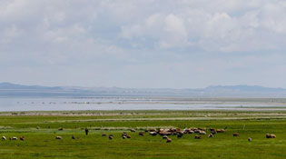 豫哈少年手拉手 融情筑梦新时代