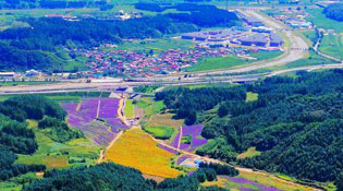 祖国处处是家乡