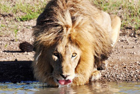 将会大热的旅游地