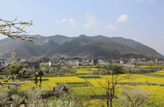 贵州省沿河县沙子镇南庄村