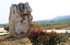 袁畈村：人间桃源落此处