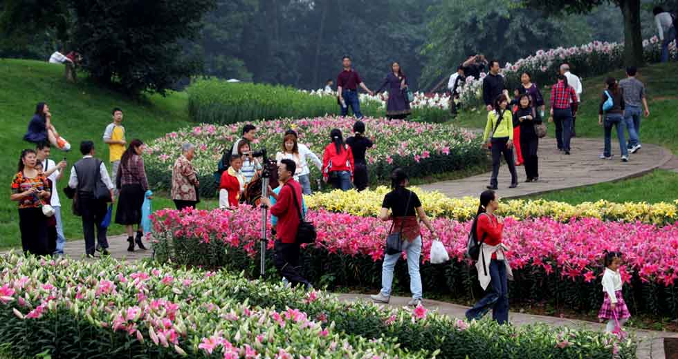 蒲江县石象湖：花海游人
