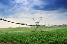 探索五种土地经营权流转模式