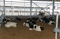 新西兰恒天然（中国）落户玉田