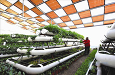 玉田县新农村建设蓬勃发展