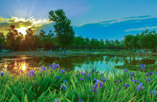 玉田县里的&ldquo;北方华西村&rdquo;