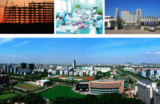 强势战略助推县域经济跨越发展