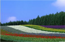 玉田现代农业一览