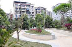 紧贴民心民意 今年新增民生工程37项