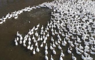 北京4086个路侧车位今起可自助缴费 支持微信