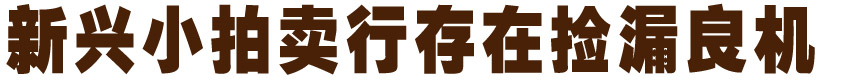 新兴小拍卖行存在捡漏良机