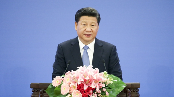 如何创新并形成扶贫开发的合力