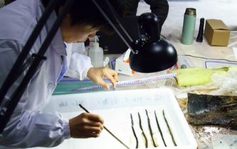 西漢海昏侯墓發現疑似失傳千余年《齊論語》