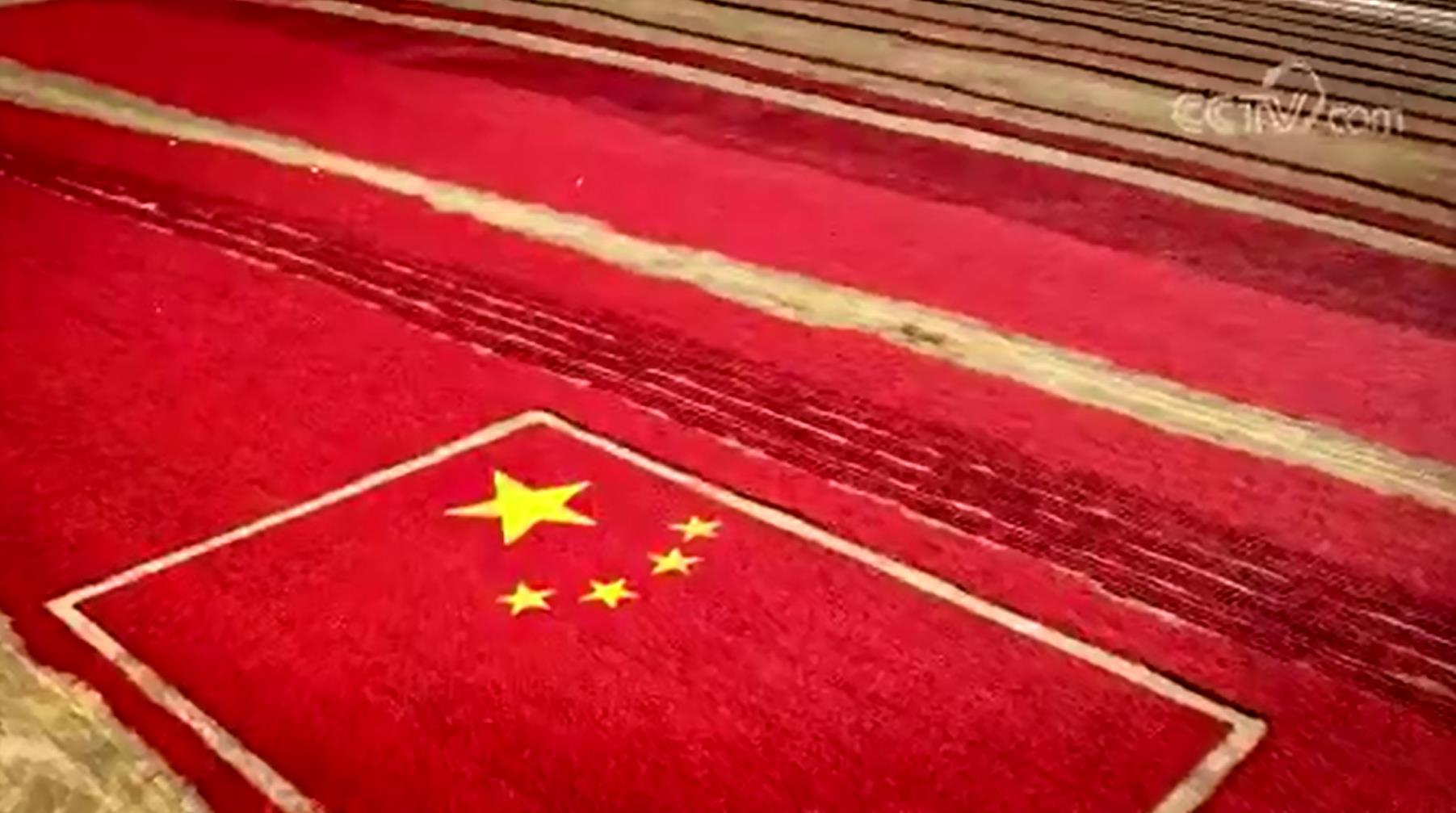 新时代,我们应该怎样爱国