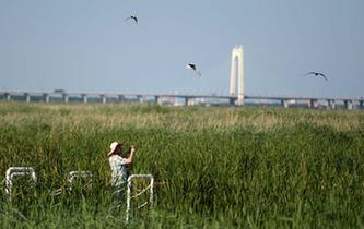&ldquo;城中濕地&rdquo;盡顯北國綠意生機