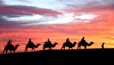 大漠朝霞醉遊人