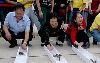 重庆民众举行大闸蟹“赛跑”游戏迎“中国农民丰收节”