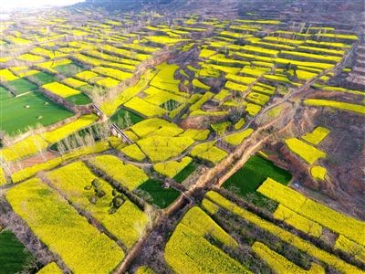 国家发展改革委副主任张勇