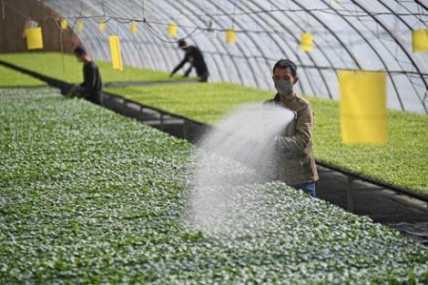 不&ldquo;闹&rdquo;的春耕里憋着越挫越勇的劲