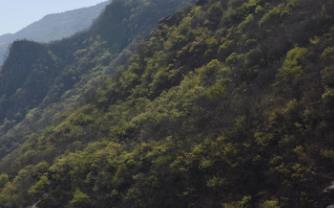 疫情还没结束，景区要把好&ldquo;入口关&rdquo;