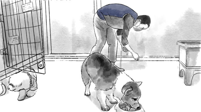 宠物们的临时&ldquo;奶爸&rdquo;