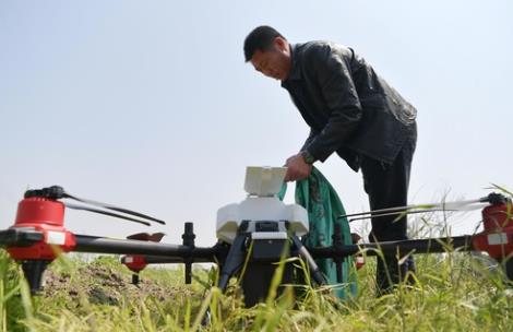 手中有粮心不慌