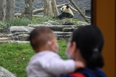 武汉动物园有序恢复开放