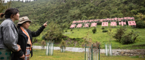 边境守边人 最美格桑花