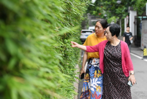 小巷有&ldquo;总理&rdquo; 一心只为民
