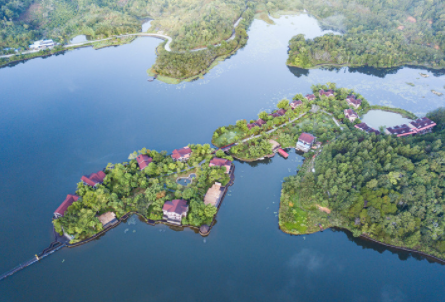 新华网评：这份多样之美，你我同守护