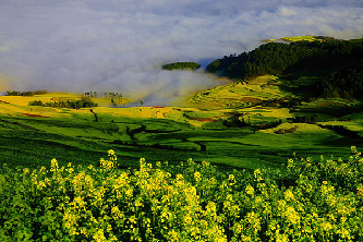【紀檢人&middot;鏡頭】花開羅平醉煞人