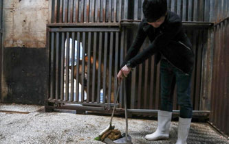 武漢市民變身飼養員 為北極熊打掃房間