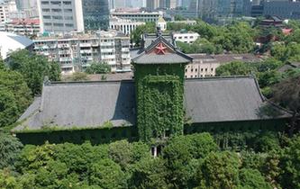 南京高校爬山虎滿墻綠意盎然