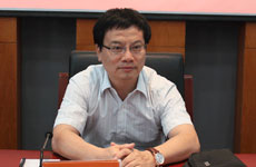 文化部文化产业司巡视员孙若风