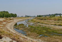京杭運河河北段：斷流的運河何時通水再顯昔日風採？