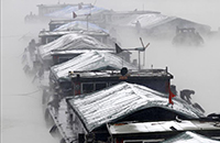 每周文化热点第12期