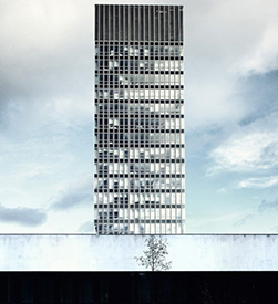 英年度风景摄影师奖获奖作品